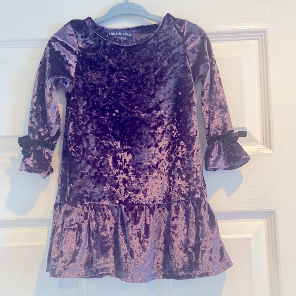 Andy & Evan Purple Velvet Kids Top
